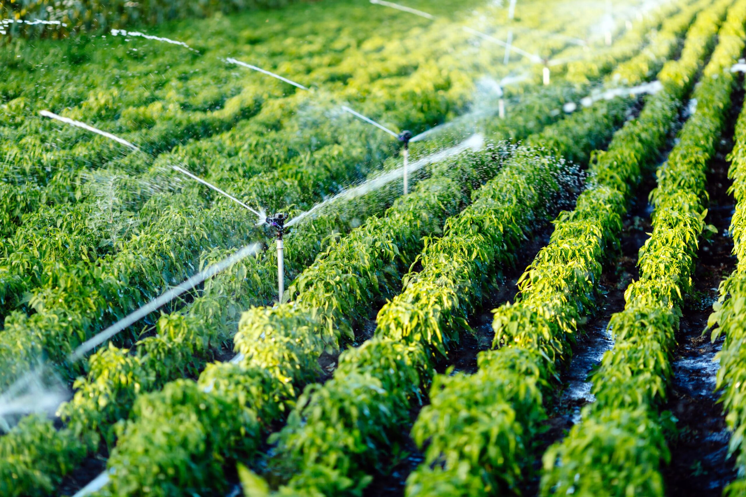 Irrigation in agriculture