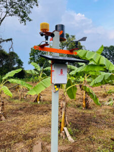 Kruzi Case Study Automate Irrigation Gallery 002