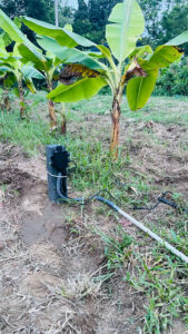 Kruzi Case Study Automate Irrigation Gallery 004