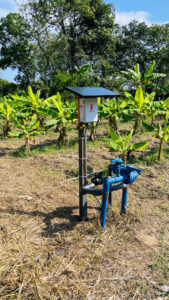 Kruzi Case Study Automate Irrigation Gallery 005