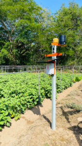 Kruzi Case Study Automate Irrigation Gallery 007