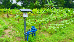 Kruzi Case Study Automate Irrigation Gallery 010