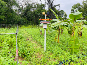 Kruzi Case Study Automate Irrigation Gallery 011