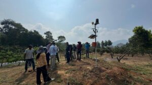 Kruzi Case Study Smart Irrigation Gallery 007
