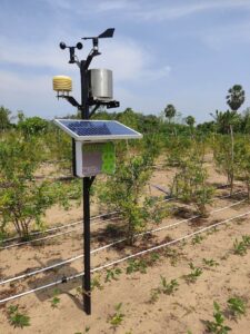Kruzi Case Study Smart Irrigation Gallery 019