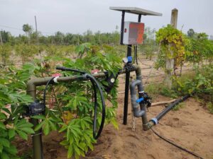 Kruzi Case Study Smart Irrigation Gallery 021