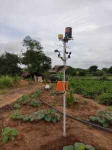 Kruzi Case Study Smart Irrigation Gallery 033